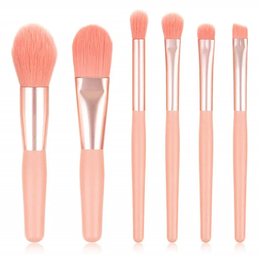 6 PCS BRUSH SET