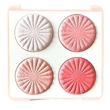 4 IN 1 HIGHLIGHTER + BLUSHER PLATEE